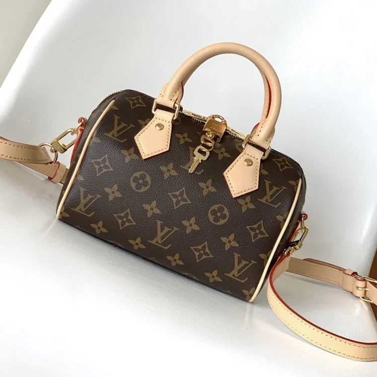 Louis Vuitton Louis Vuitton Bag