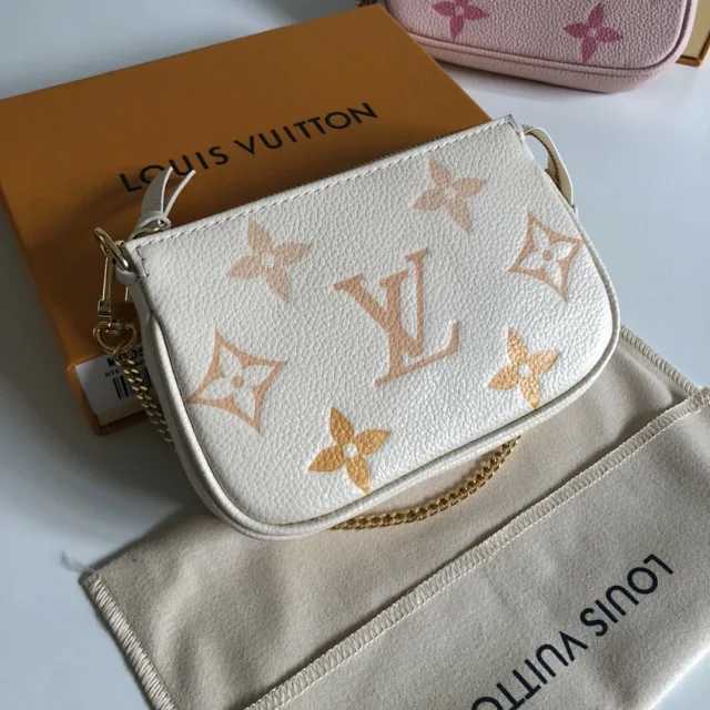 Louis Vuitton Louis Vuitton Bag