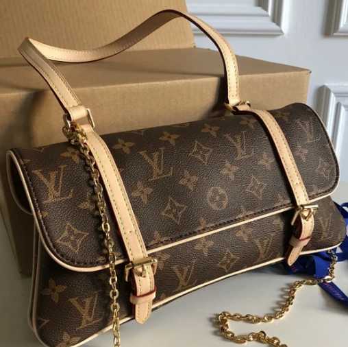 Louis Vuitton Louis Vuitton Bag